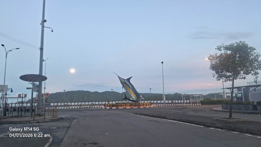 A dolphin jumping over a road